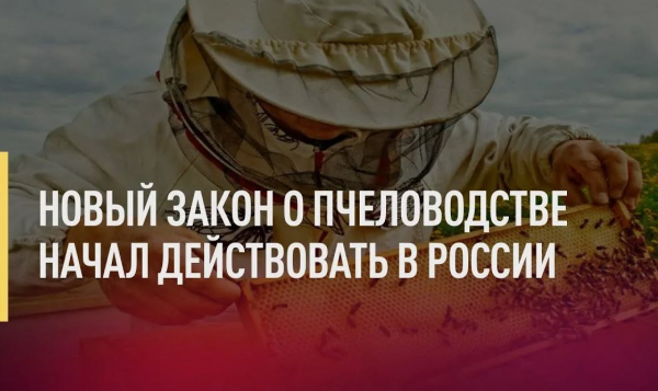 Информация для размещения в качестве профилактического мероприятия (информирование) по вопросам соблюдения обязательных требований.