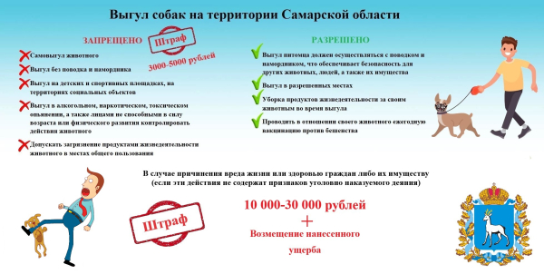 Информация по выгулу домашних животных.