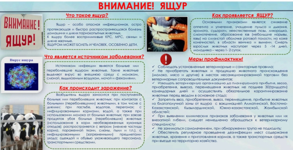 Внимание!