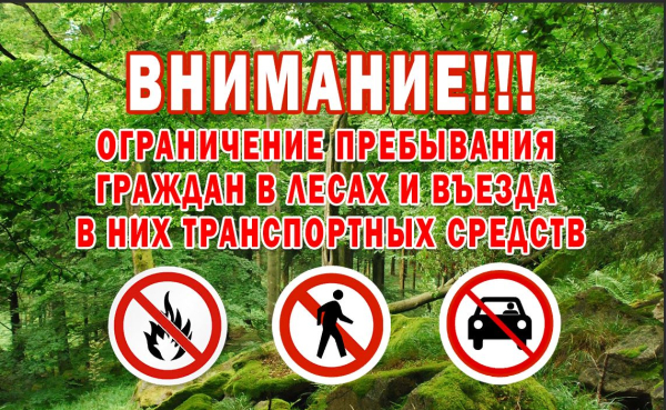 Памятка для населения о мерах пожарной безопасности в весенне-летний пожароопасный период