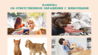 Памятка для населения об ответственном обращении с животными