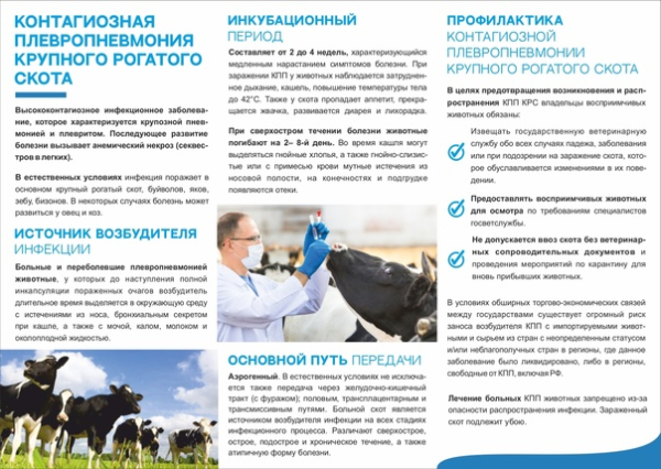 Внимание!
