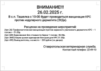 Внимание!