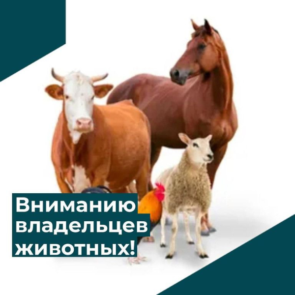 Информация!
