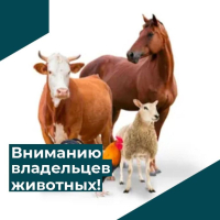Информация!