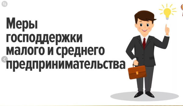 Меры поддержки молодых предпринимателей: федеральные и региональные инструменты