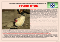 Внимание! Заболевание животных и птиц.
