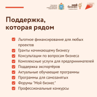 В региональном центре «Мой бизнес» Самарской области проходит День открытых дверей
