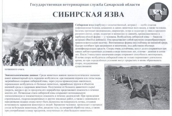 Внимание;