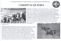 Внимание;