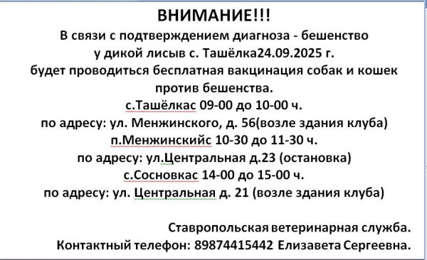 Информация о проведении вакцинаций против бешенства.