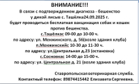 Информация о проведении вакцинаций против бешенства.