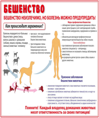 Информация.