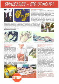 Внимание!