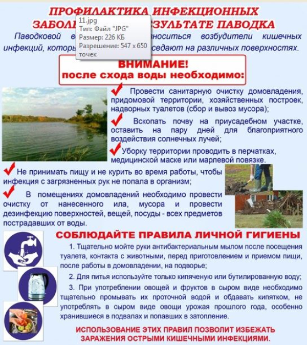 ПАМЯТКА НАСЕЛЕНИЮ. Проведение дезинфекции территорий.