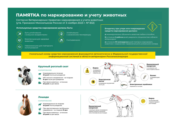 Информация