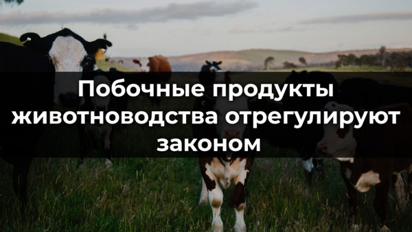 Информация! Россельхознадзор напоминает.
