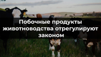 Информация! Россельхознадзор напоминает.