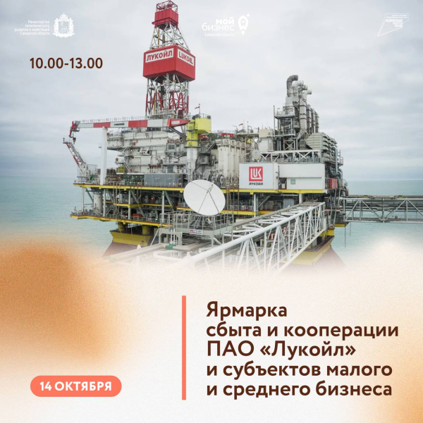 Как стать поставщиком: малому бизнесу Самарской области представят направления закупок ПАО «Лукойл».