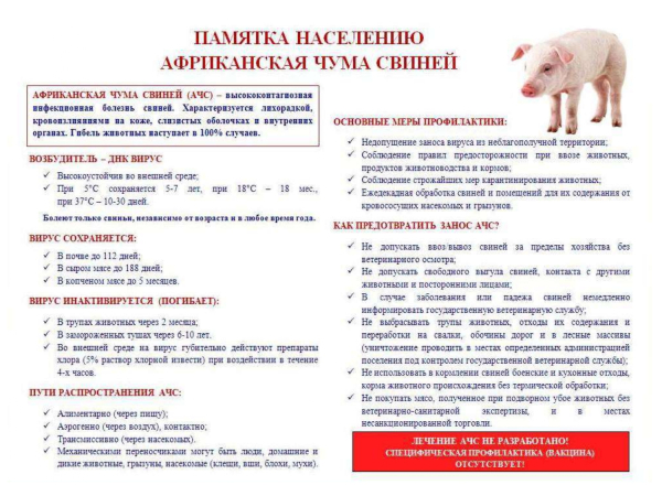 ВНИМАНИЕ!