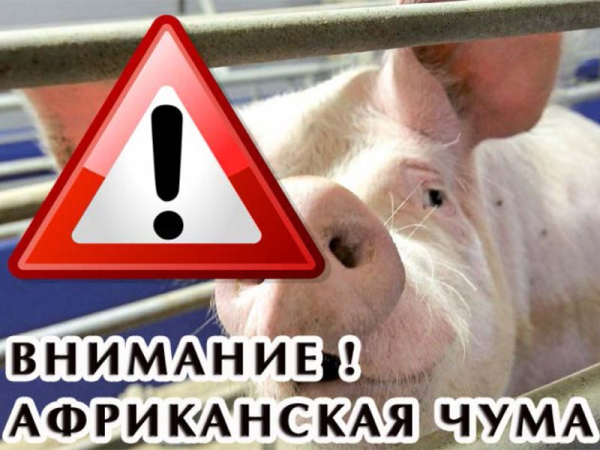 Внимание! ГБУ СО «СВО» СТАВРОПОЛЬСКАЯ СББЖ ИНФОРМИРУЕТ