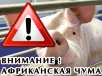 Внимание! ГБУ СО «СВО» СТАВРОПОЛЬСКАЯ СББЖ ИНФОРМИРУЕТ
