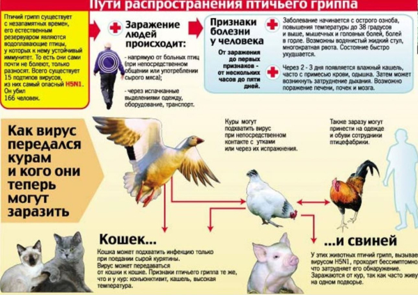 Внимание!