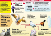 Внимание!