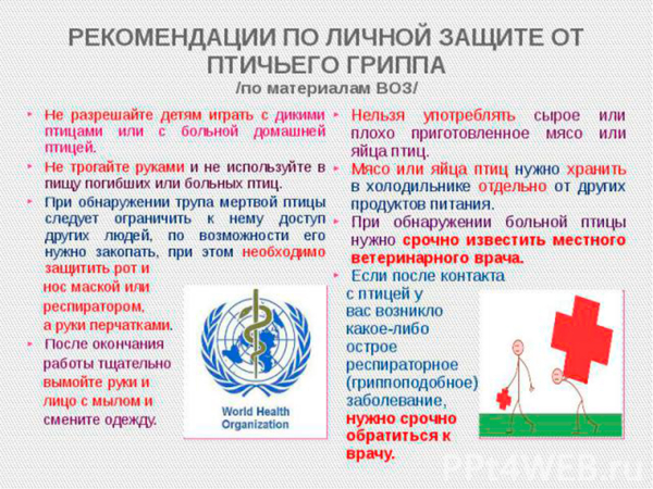 Внимание!