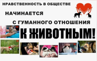 Памятка для населения об ответственном обращении с животными