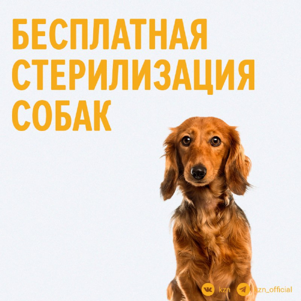 Постановление Правительства Самарской области от 23.12.2020 № 1080