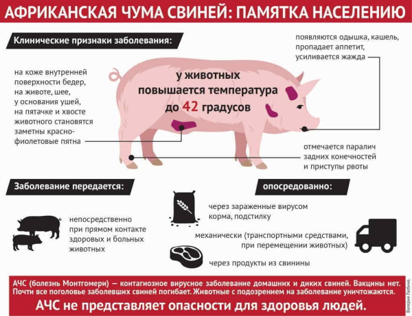 Внимание!