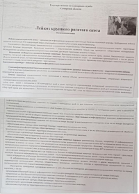 Памятка по лейкозу крупного рогатого скота