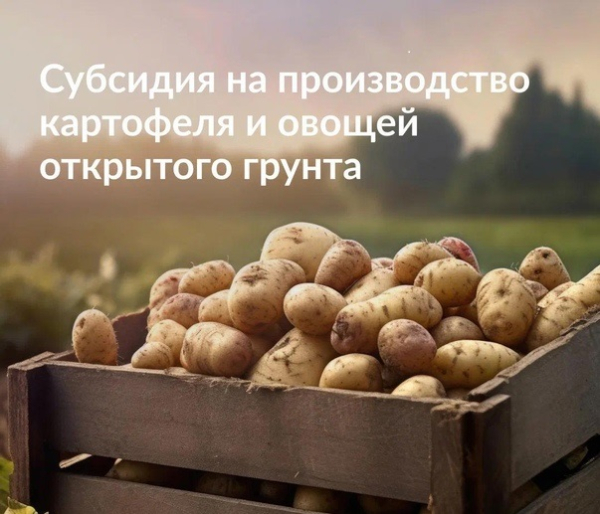 Внимание!