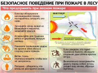 Внимание! При лесном пожаре ставропольцев просят звонить в Минприроды или лесникам.