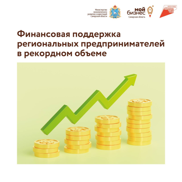 Региональный Гарантийный фонд помог бизнесу привлечь рекордные 3,4 млрд рублей на развитие.