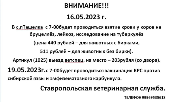 Внимание!