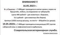 Внимание!
